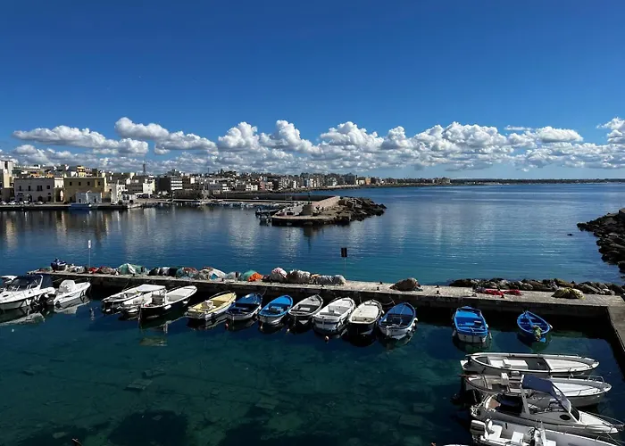 Dragonfly - Apartment *