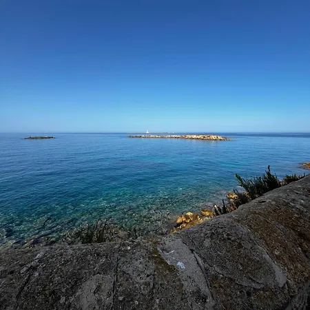 Appartement Dragonfly - *