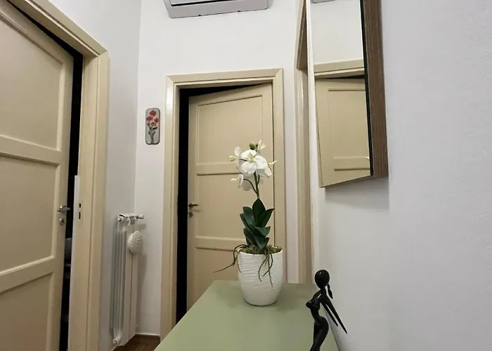 Appartement Dragonfly -